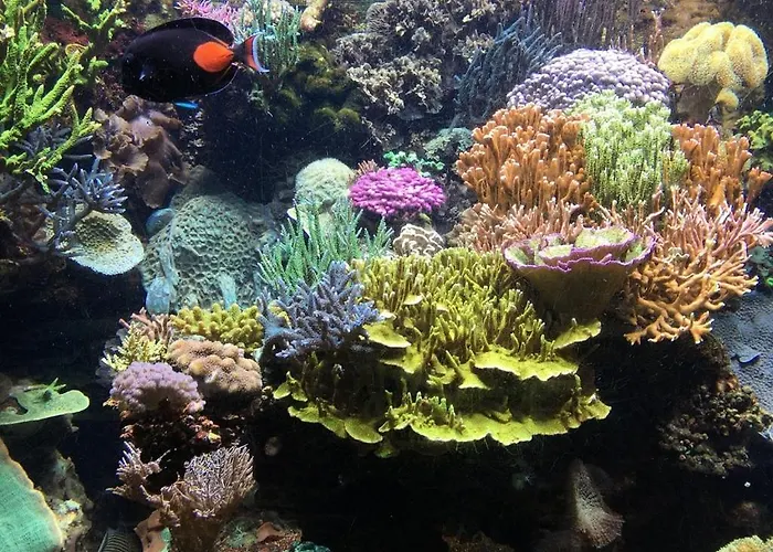 Cosy Au Centre Port Du Cap D'agde *