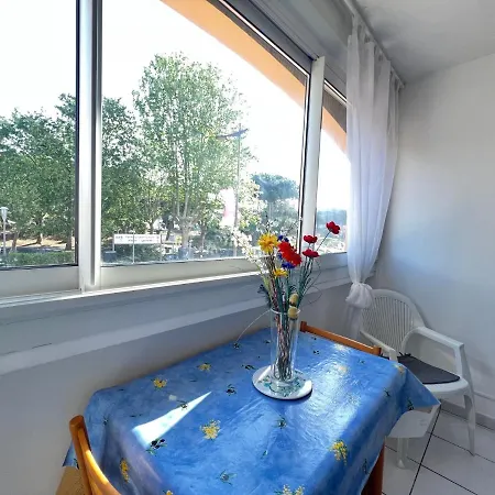 Appartement Cosy Au Centre Port Du Cap D'agde Agde